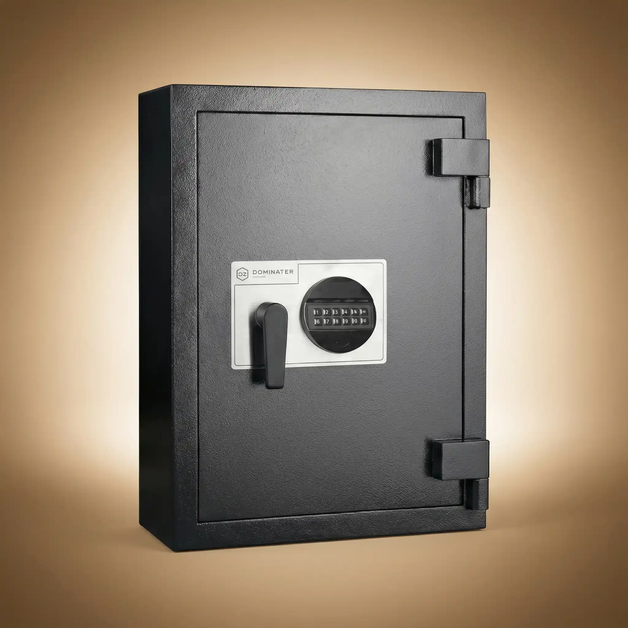 Home Safe Model